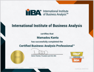 Certified Business Analyst Professional (CBAP)